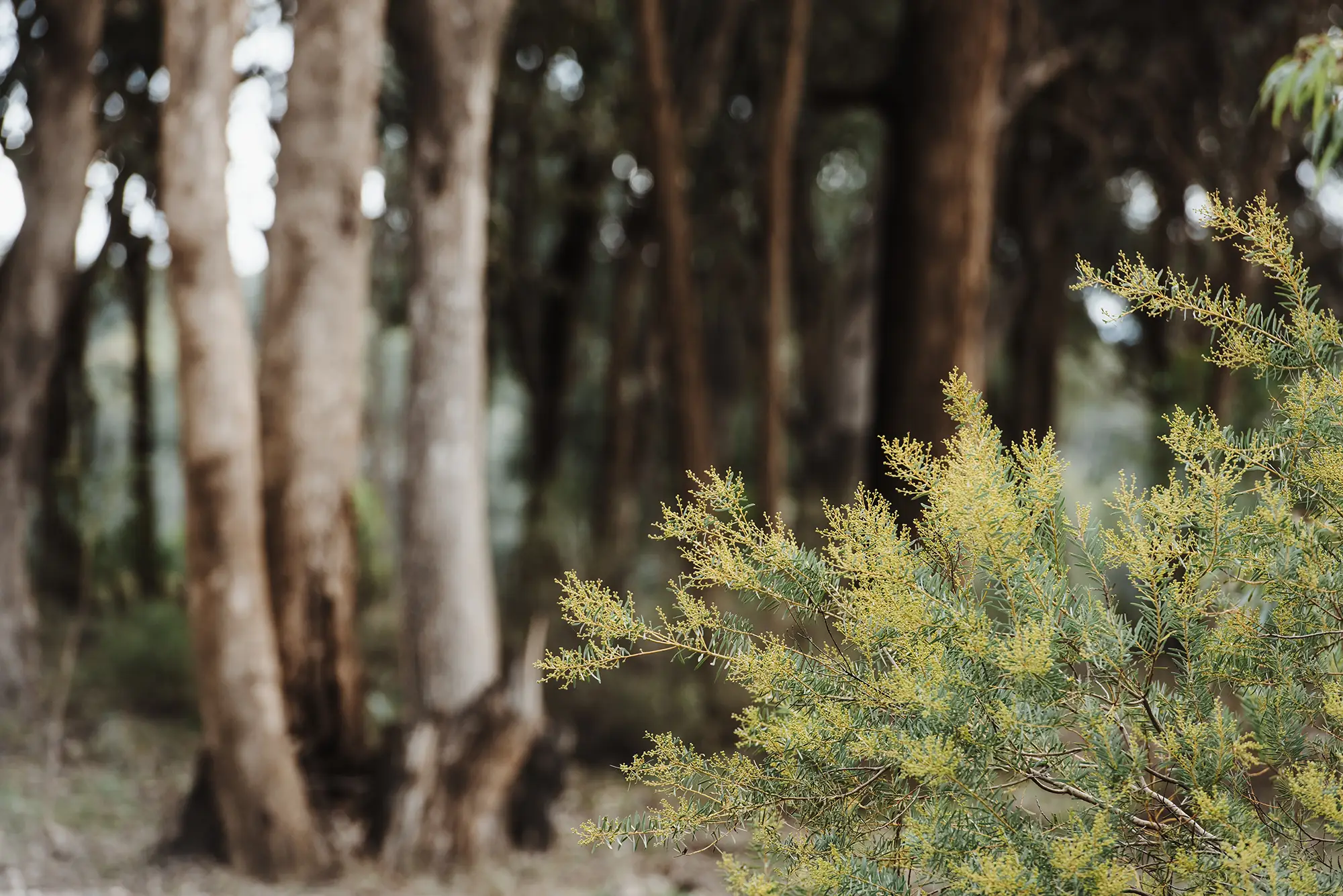 quarry environmental sustainability dust suppression